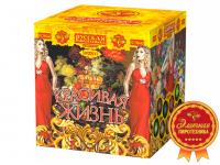 Красивая жизнь Фейерверк купить в Кургане | kurgan.salutsklad.ru