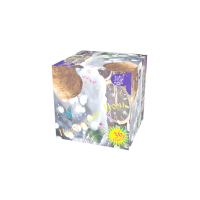 Новогодняя ночь Салют купить в Кургане | kurgan.salutsklad.ru