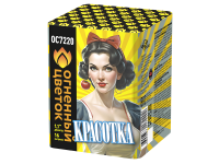 Красотка Батарея салютов купить в Кургане | kurgan.salutsklad.ru