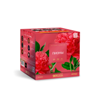 Пионы Салют купить в Кургане | kurgan.salutsklad.ru