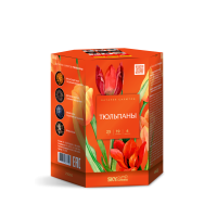 Тюльпаны Салют купить в Кургане | kurgan.salutsklad.ru
