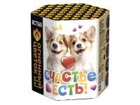 Счастье есть! Салют купить в Кургане | kurgan.salutsklad.ru