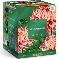 Хризантемы Фейерверк купить в Кургане | kurgan.salutsklad.ru