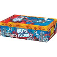 Горжусь Россией! Фейерверк купить в Кургане | kurgan.salutsklad.ru