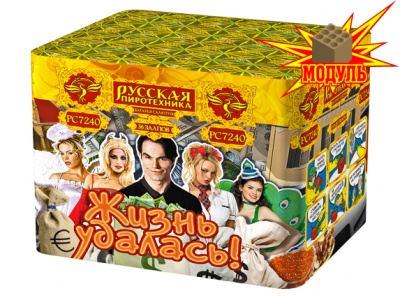 Жизнь удалась Фейерверк купить в Кургане | kurgan.salutsklad.ru