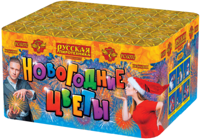 Новогодние цветы Фейерверк купить в Кургане | kurgan.salutsklad.ru