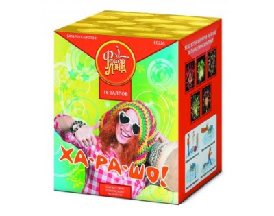 Ха-ра-шо Салют купить в Кургане | kurgan.salutsklad.ru