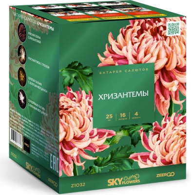 Хризантемы Фейерверк купить в Кургане | kurgan.salutsklad.ru