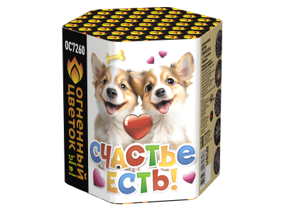 Счастье есть! Салют купить в Кургане | kurgan.salutsklad.ru