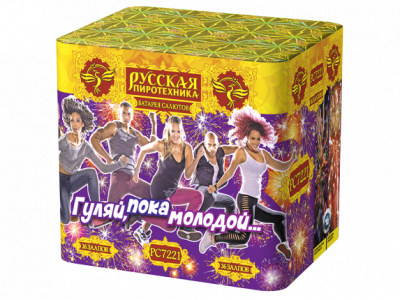 Гуляй, пока молодой Салют купить в Кургане | kurgan.salutsklad.ru